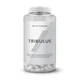 Tribulus