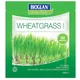 Bioglan Superfoods Supergreens Wheatgrass Powder - 100 g